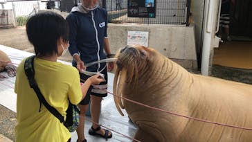 大分マリーンパレス水族館 「うみたまご」に投稿された画像（2022/8/30）