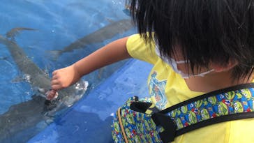 大分マリーンパレス水族館 「うみたまご」に投稿された画像（2022/8/30）