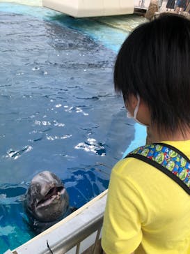 大分マリーンパレス水族館 「うみたまご」に投稿された画像（2022/8/30）