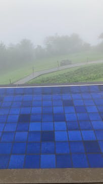 びわ湖バレイに投稿された画像（2022/8/30）