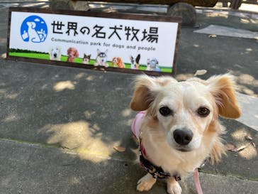 世界の名犬牧場に投稿された画像（2022/8/31）