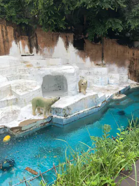 天王寺動物園に投稿された画像（2022/8/28）