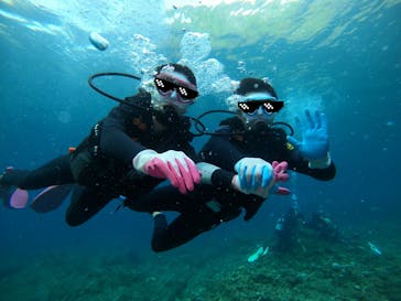 ダイビングショップ　ハイビスカスに投稿された画像（2022/8/31）