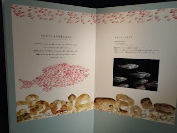 環境水族館アクアマリンふくしまに投稿された画像（2022/8/31）