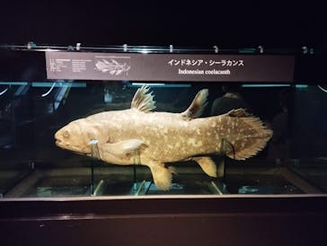 環境水族館アクアマリンふくしまに投稿された画像（2022/8/31）