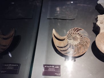 環境水族館アクアマリンふくしまに投稿された画像（2022/8/31）