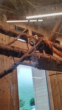 伊豆シャボテン動物公園に投稿された画像（2022/8/31）