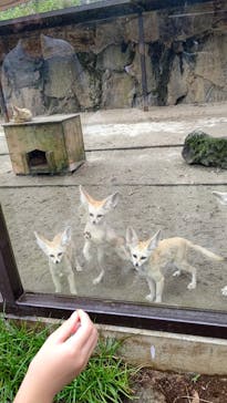 伊豆シャボテン動物公園に投稿された画像（2022/8/31）