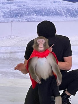 おさるランド＆アニタウン　日光さる軍団劇場に投稿された画像（2022/8/31）