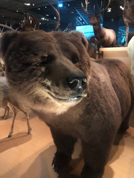 国立科学博物館に投稿された画像（2022/8/31）