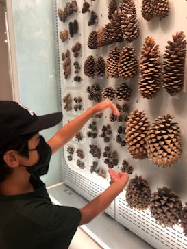 国立科学博物館に投稿された画像（2022/8/31）