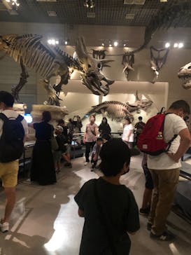 国立科学博物館に投稿された画像（2022/8/31）