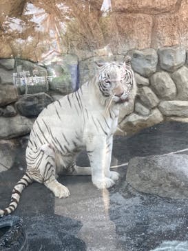 東武動物公園に投稿された画像（2022/8/31）