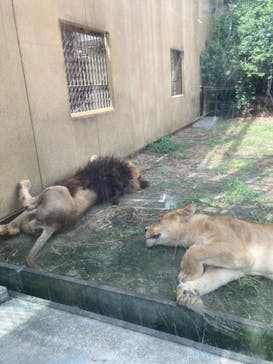 東武動物公園に投稿された画像（2022/8/31）