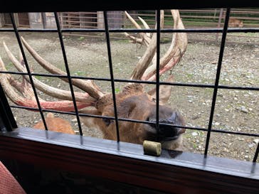 那須サファリパークに投稿された画像（2022/8/31）