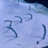 マリンワールド海の中道に投稿された画像（2022/8/31）