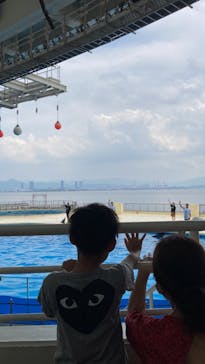 マリンワールド海の中道に投稿された画像（2022/8/31）