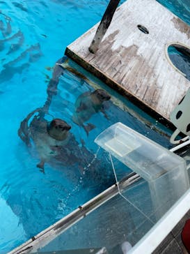 マリンワールド海の中道に投稿された画像（2022/8/31）