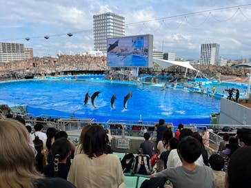 名古屋港水族館に投稿された画像（2022/8/31）