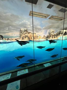 名古屋港水族館に投稿された画像（2022/8/31）