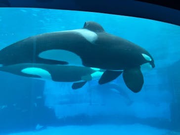 名古屋港水族館に投稿された画像（2022/8/31）
