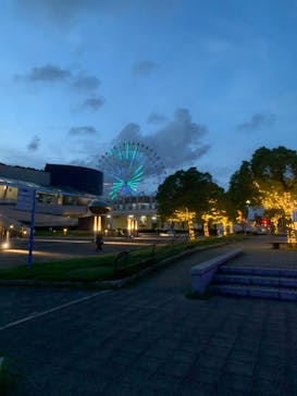 名古屋港水族館に投稿された画像（2022/8/31）