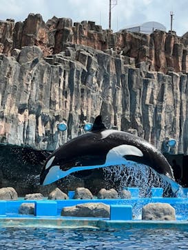 名古屋港水族館に投稿された画像（2022/8/31）