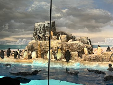 名古屋港水族館に投稿された画像（2022/8/31）