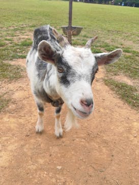 ビオスの丘に投稿された画像（2022/8/29）