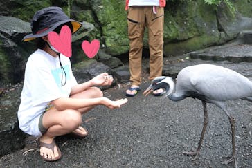 伊豆シャボテン動物公園に投稿された画像（2022/8/31）