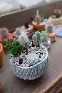 伊豆シャボテン動物公園に投稿された画像（2022/8/31）