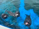 沖縄美ら海水族館に投稿された画像（2022/9/1）