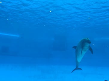 名古屋港水族館に投稿された画像（2022/8/16）