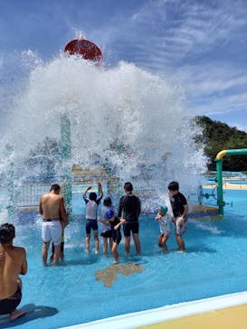 日本モンキーパークに投稿された画像（2022/9/1）