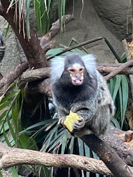 那須どうぶつ王国に投稿された画像（2022/9/1）