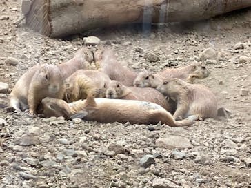 那須どうぶつ王国に投稿された画像（2022/9/1）