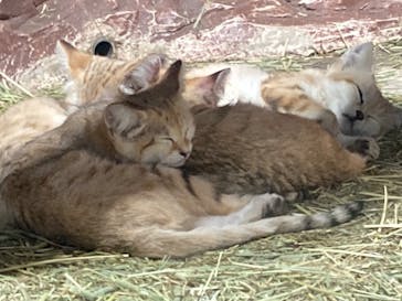 那須どうぶつ王国に投稿された画像（2022/9/1）