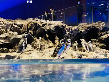 すみだ水族館に投稿された画像（2022/9/1）