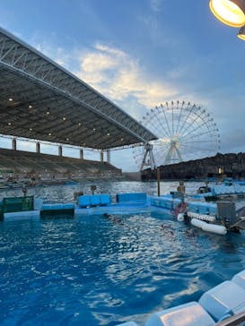 名古屋港水族館に投稿された画像（2022/9/2）