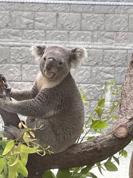 淡路ファームパーク イングランドの丘に投稿された画像（2022/9/2）
