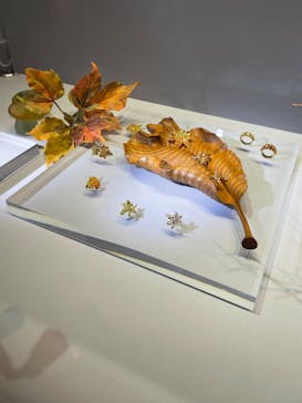特別展「宝石　地球がうみだすキセキ」（名古屋市科学館　理工館地下２階イベントホール）に投稿された画像（2022/9/2）