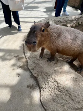 神戸どうぶつ王国に投稿された画像（2022/9/2）