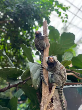 神戸どうぶつ王国に投稿された画像（2022/9/2）