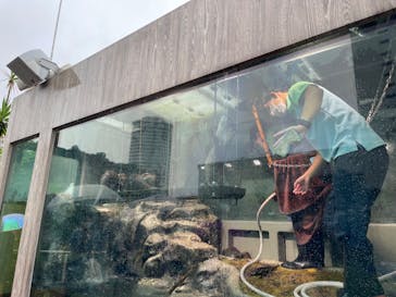 サンシャイン水族館に投稿された画像（2022/9/2）