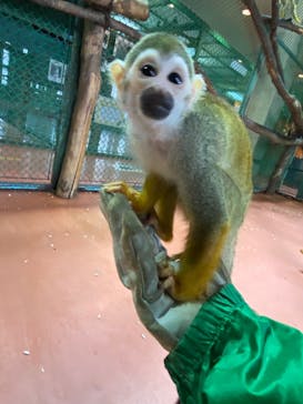 那須ワールドモンキーパークに投稿された画像（2022/9/2）