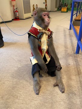 那須ワールドモンキーパークに投稿された画像（2022/9/2）