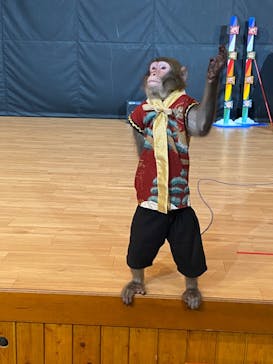 那須ワールドモンキーパークに投稿された画像（2022/9/2）