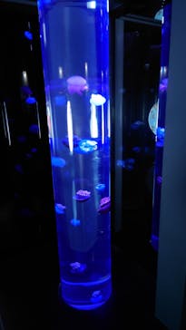 サンシャイン水族館に投稿された画像（2022/9/2）