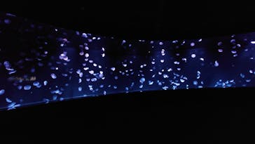 サンシャイン水族館に投稿された画像（2022/9/2）