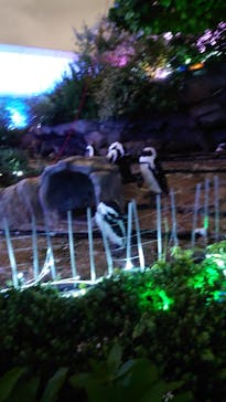 サンシャイン水族館に投稿された画像（2022/9/2）